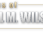 The Washington Law Office Of The Law Offices of Dr. Michael M. Wilson, M.D., J.D & Associates.